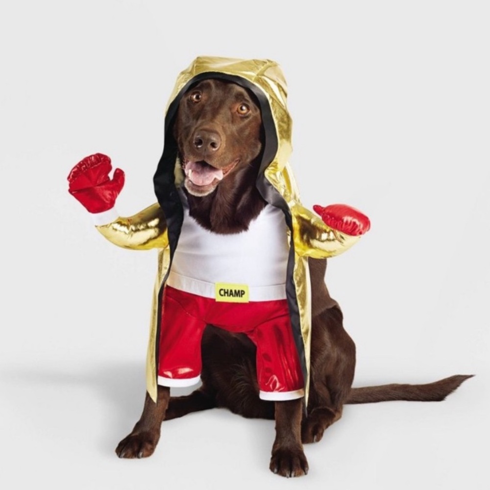Boots & Barkley-Gold and Red Dog Costume with Boxing Gloves